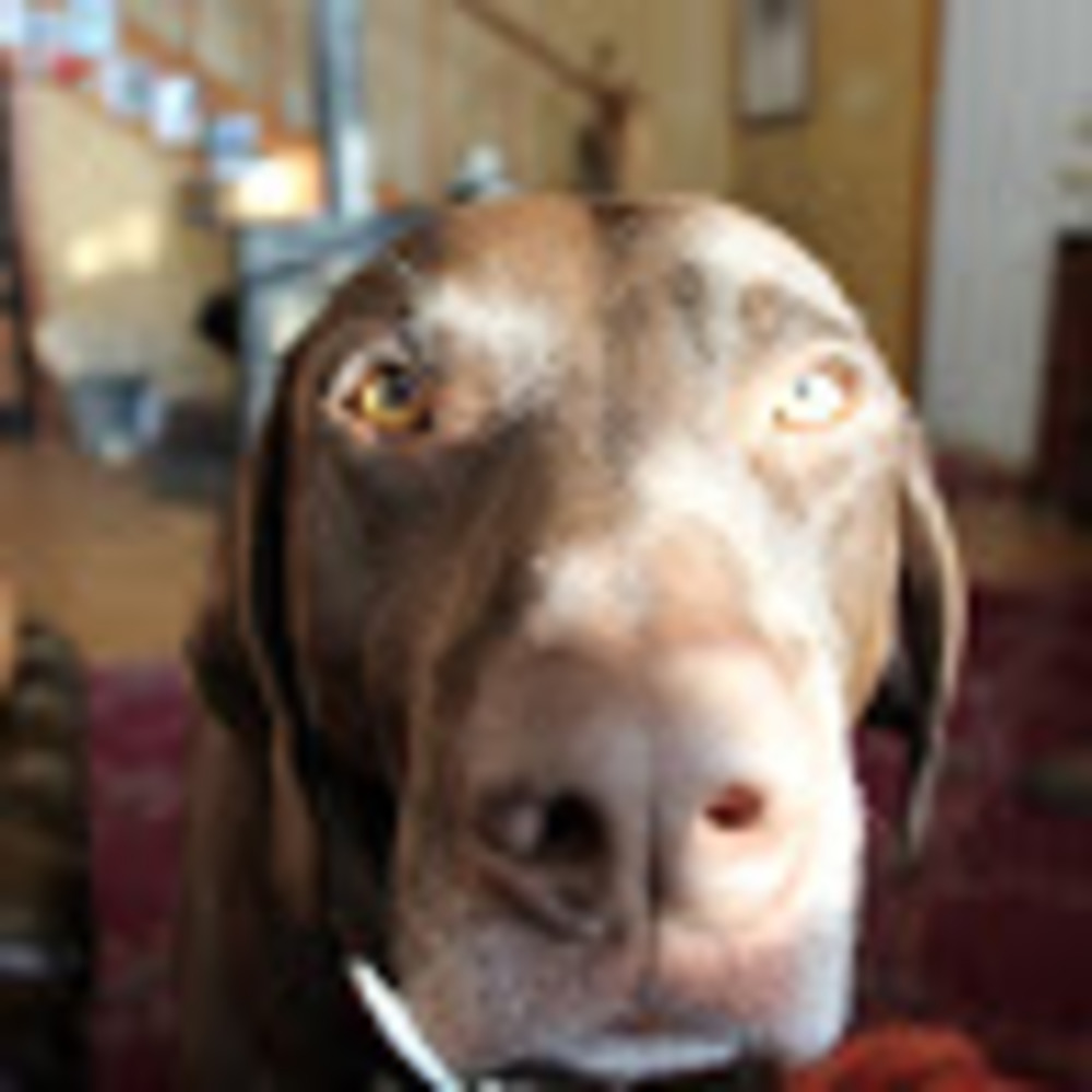 Meet your Posher, Marti